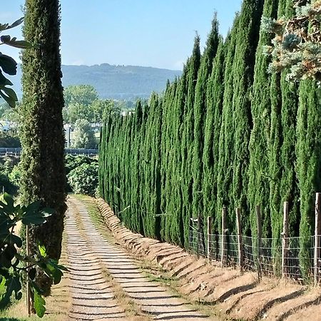 라폴라노테르메 Camugnano Farm 빌라 외부 사진