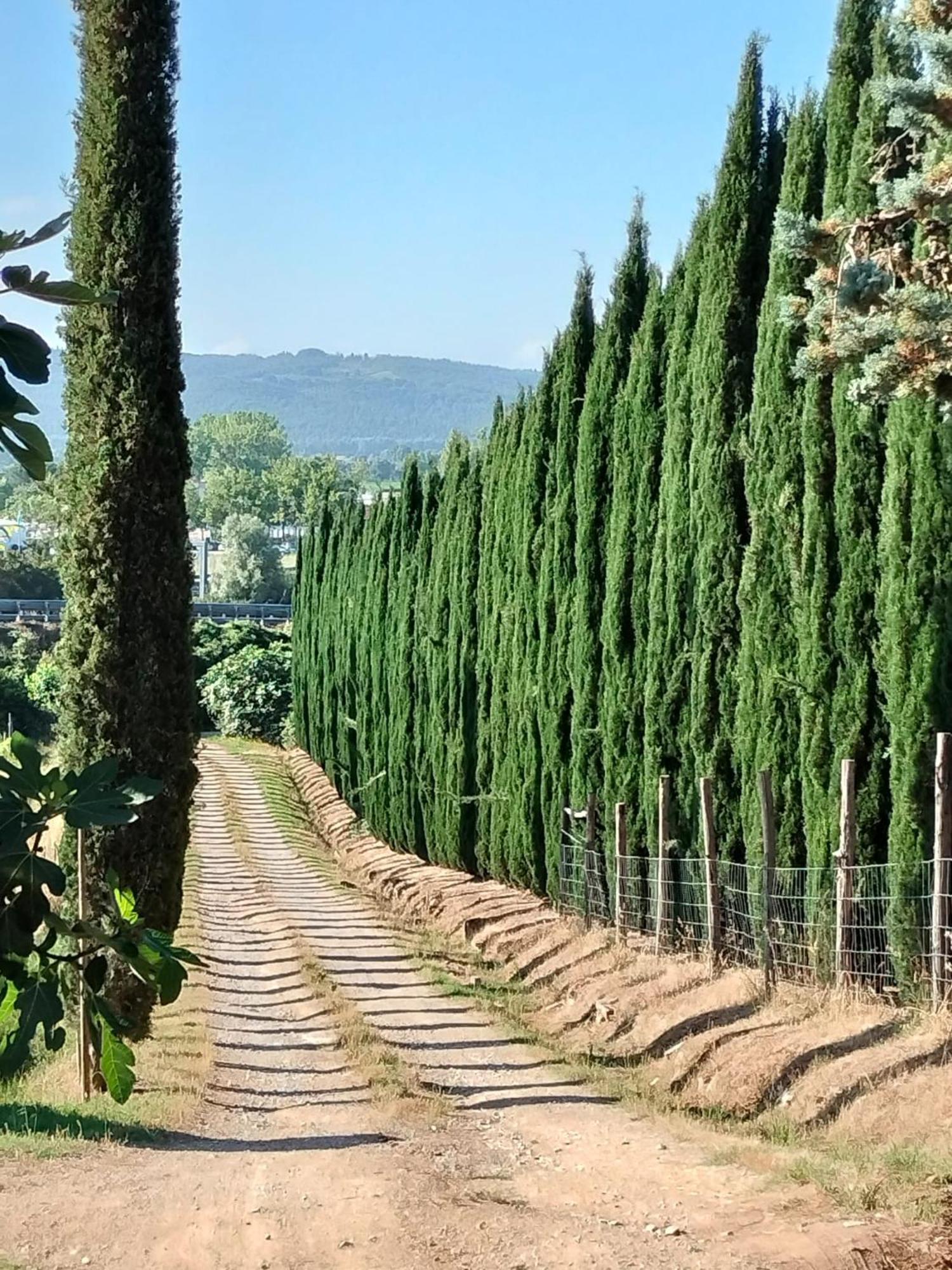 라폴라노테르메 Camugnano Farm 빌라 외부 사진
